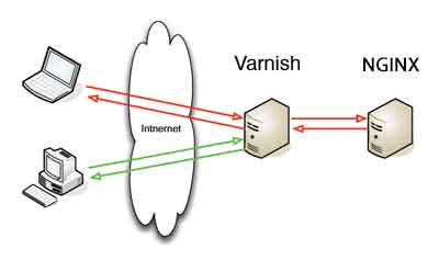 varnish